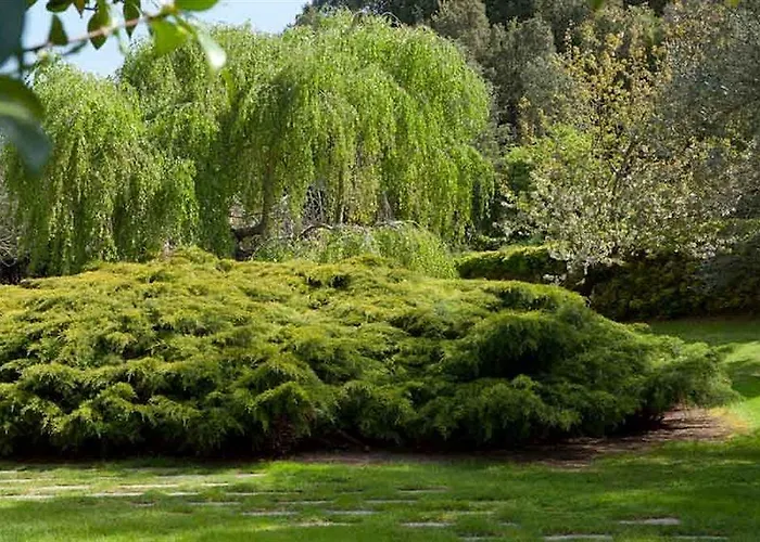 L'agnata Di De André Boutique Hotel 3*