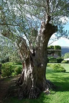 Hotel L'agnata Di De André Boutique 3*