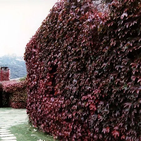 Szálloda L'agnata Di De Andre Boutique Tempio Pausania