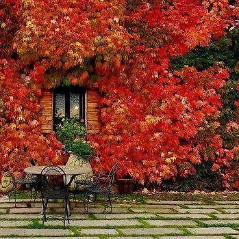 L'agnata Di De Andre Boutique Szálloda Tempio Pausania