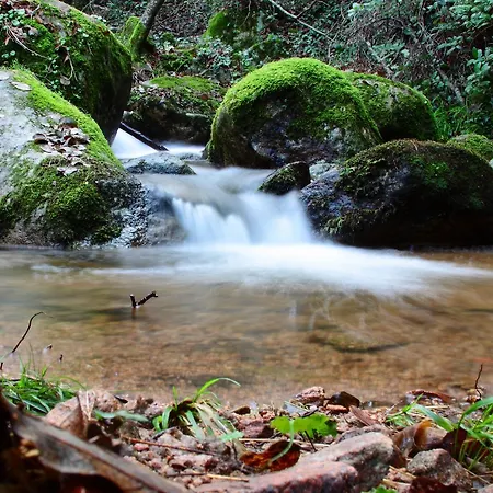 L'agnata Di De Andre Boutique