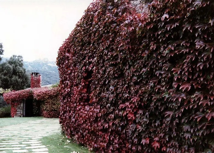 Hotel L'agnata Di De Andre Boutique Tempio Pausania