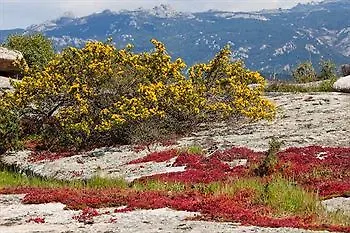Hotel L'agnata Di De Andre Boutique