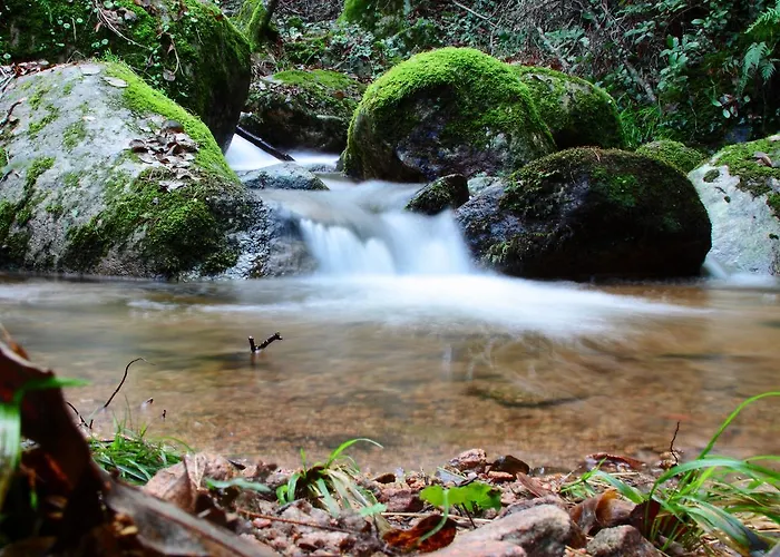 L'agnata Di De Andre Boutique