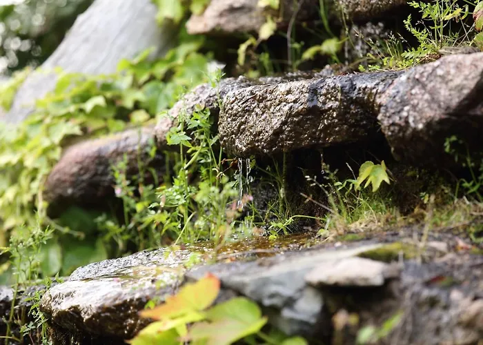 L'agnata Di De Andre Boutique Tempio Pausania